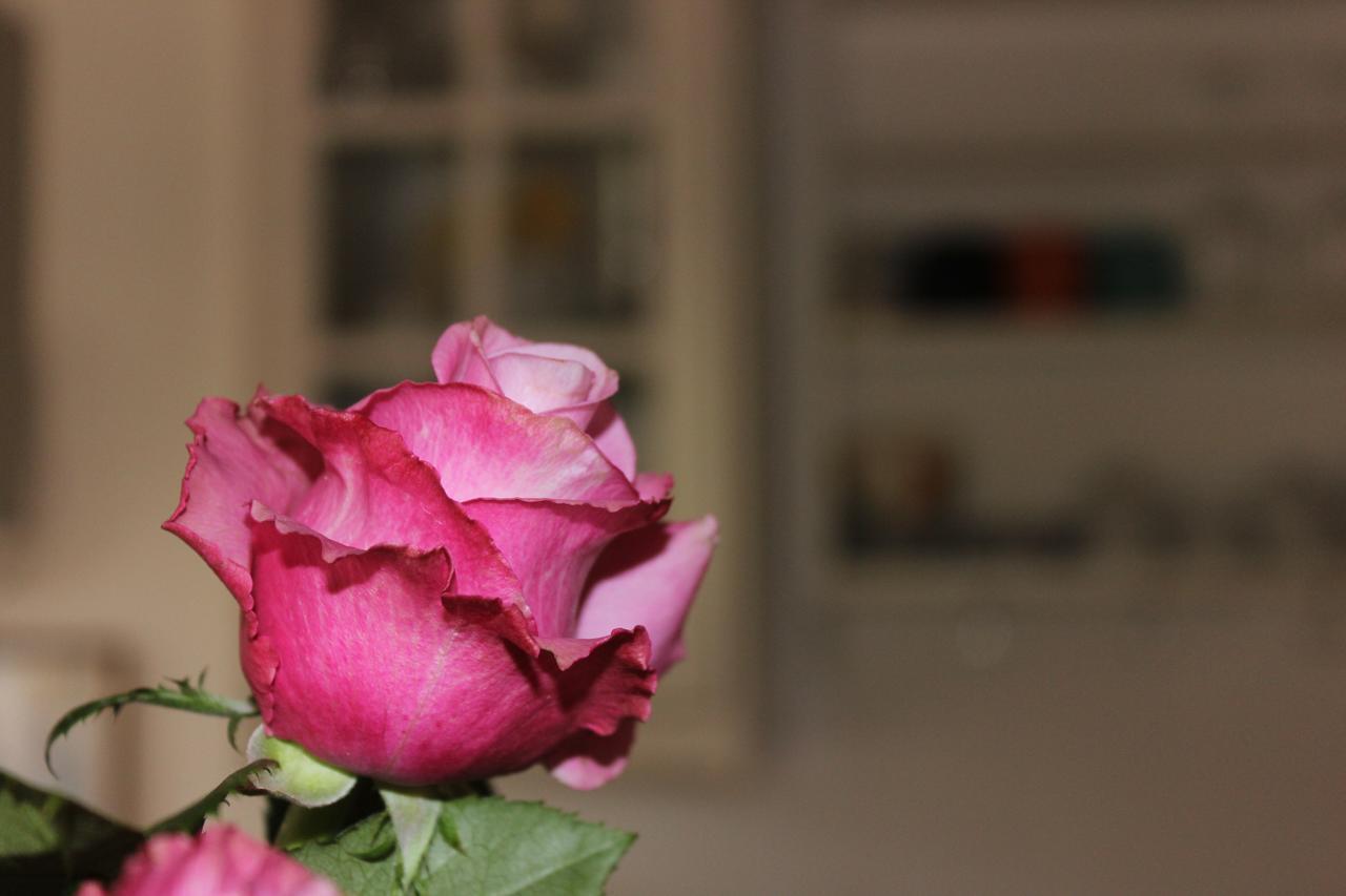 B&B Canneto มอนเตแวร์ดิ มาริตติโม ภายนอก รูปภาพ